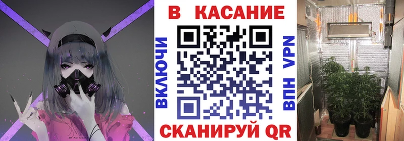 Купить наркотики Ладушкин Каннабис  Мефедрон  A PVP  блэк спрут ONION  ГАШ  LSD-25 