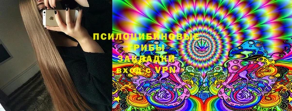 стаф Балахна