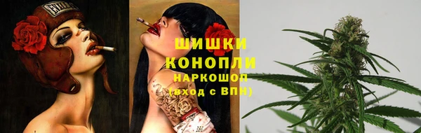 стаф Балахна