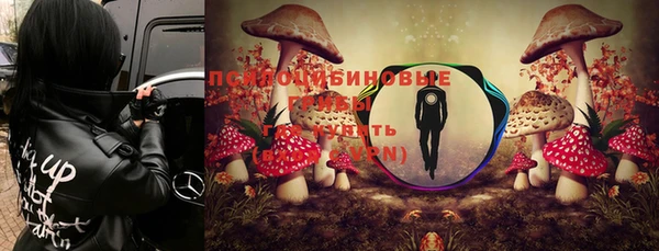 стаф Балахна