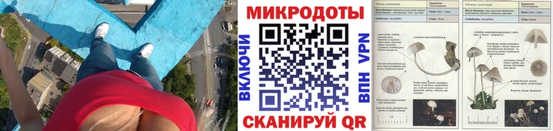 Псилоцибиновые грибы GOLDEN TEACHER  Ладушкин 